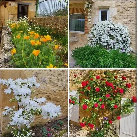 Le Clos Des Figuiers - 3 De Caractere *