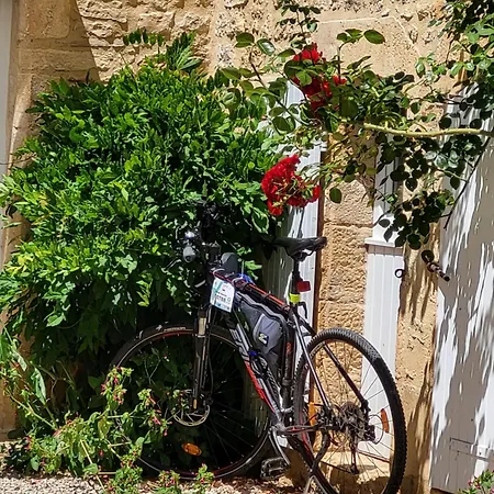 Le Clos Des Figuiers - 3 De Caractere Casa de Férias
