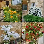 Le Clos Des Figuiers - 3 De Caractere *