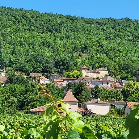 Le Clos Des Figuiers - 3 De Caractère Hébergement de vacances Duravel